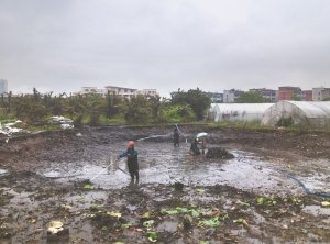 淳安河道鱼塘清淤